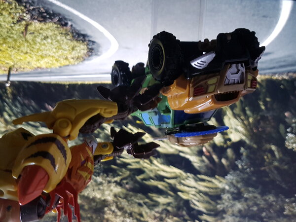 Bulkhead vs Predacons (5).jpg