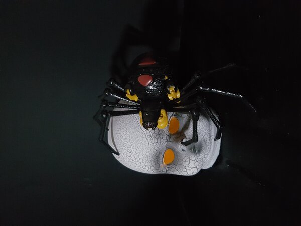 Alt Mode Blackarachnia (2).jpg