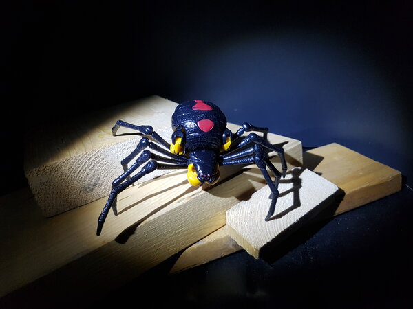 Alt Mode Blackarachnia (3).jpg