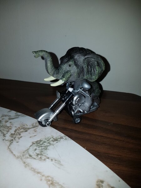 motoelephant 1.jpg