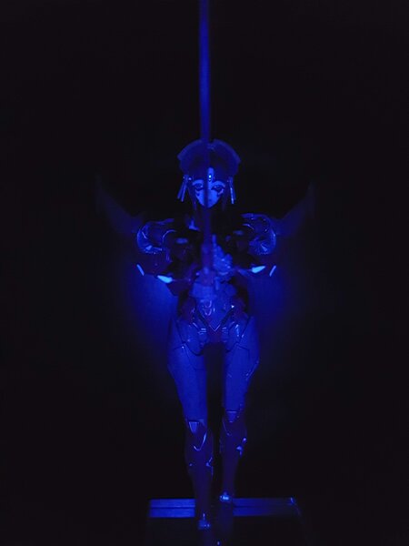 Furai Windblade Model Kit (2).jpg