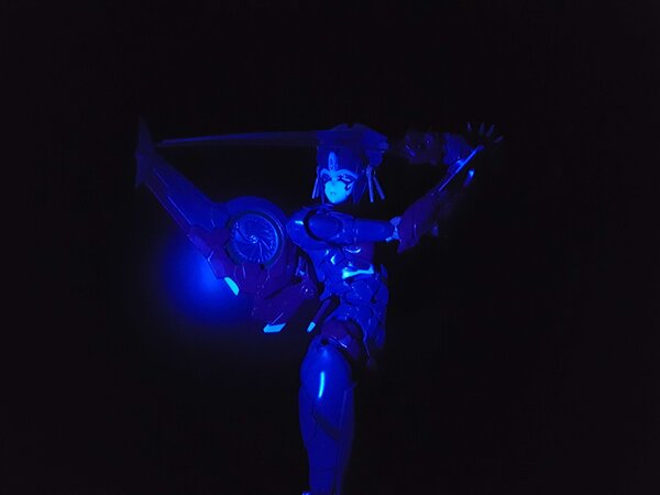 Furai Windblade Model Kit (4).jpg