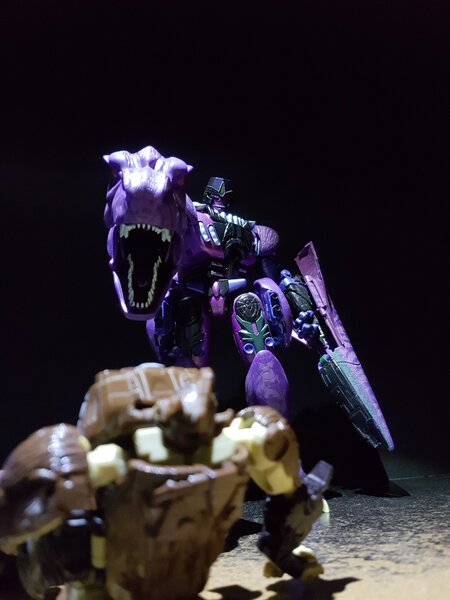 Primal Dream (5).jpg