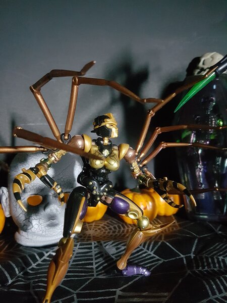 Arachne vs Blackarachnia (2).jpg