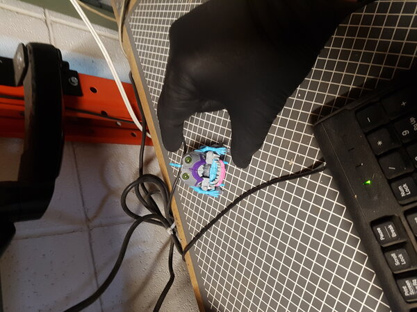 Gnaw At Work (1).jpg