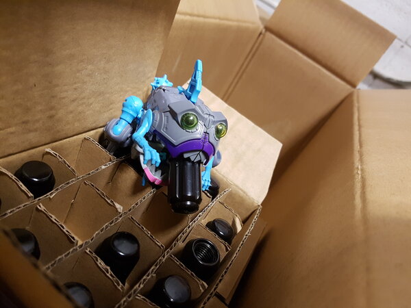 Gnaw At Work (3).jpg