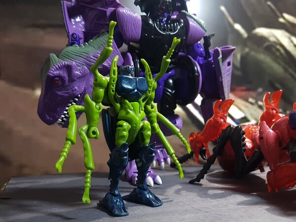 BW Insecticon (8).jpg