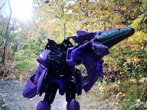 BW Megatron Again (2).jpg