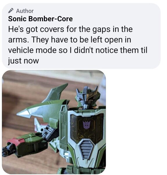 skyquake arms.jpeg