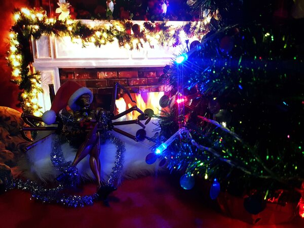 Blackarachnia Christmas (2).jpg