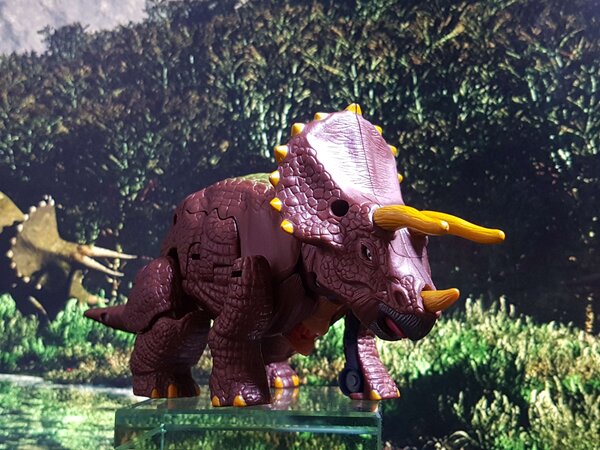 Triceradon (1).jpg