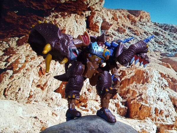 Triceradon (5).jpg