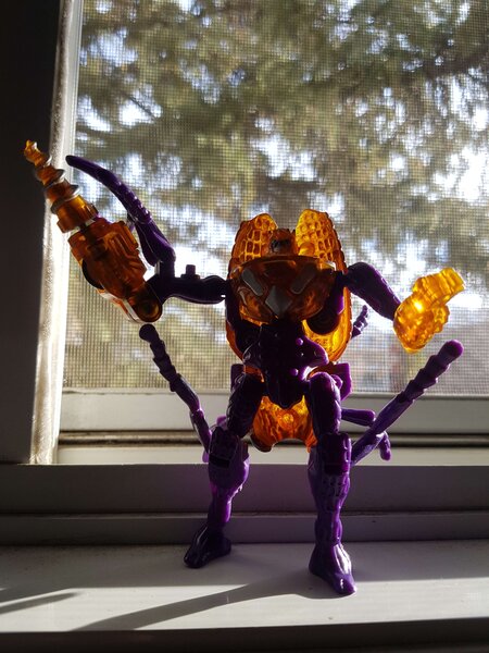 drillbit1.jpg