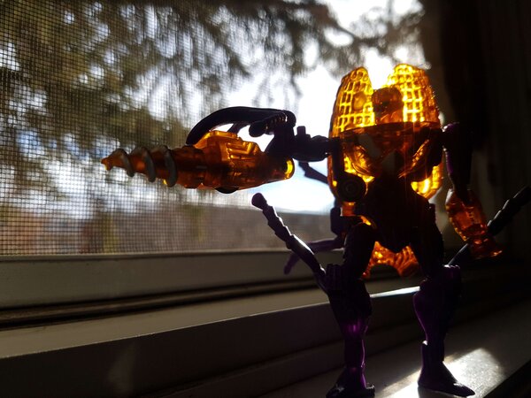 drillbit2.jpg