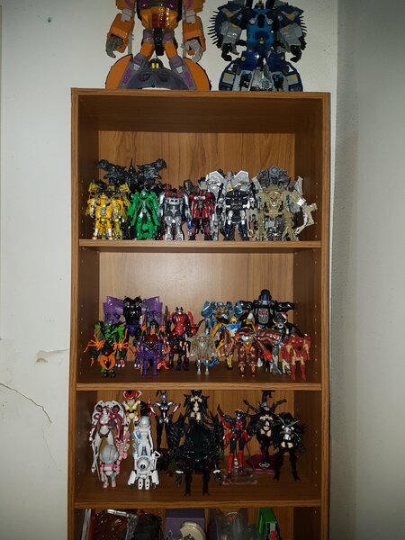 toy shelves 1.jpg