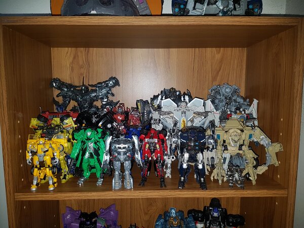 toy shelves 2.jpg