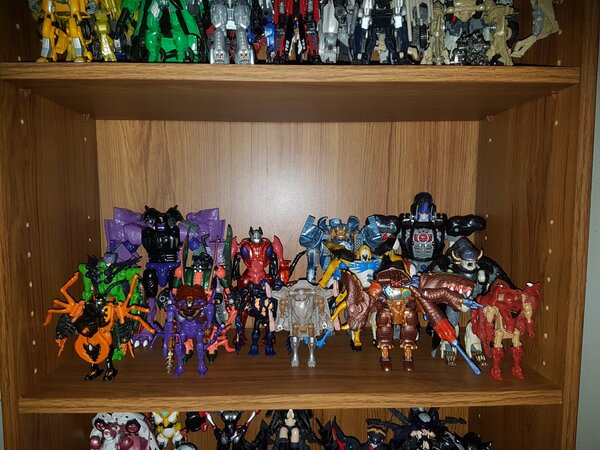 toy shelves 3.jpg