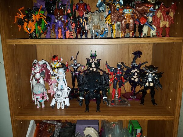 toy shelves 4.jpg