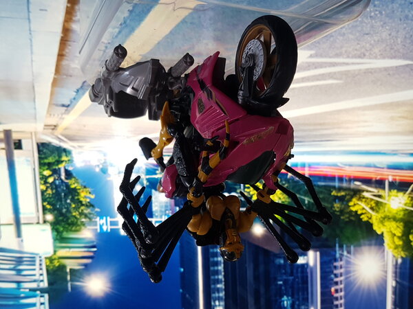 ROTF Arcee (4).jpg