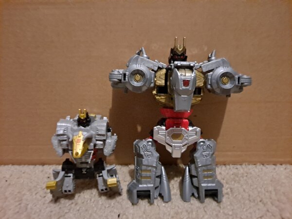 volc torso.jpg