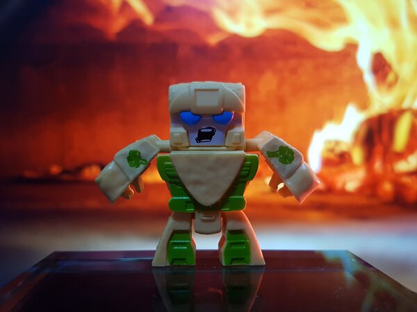 AMW 4 Brock Head (1).jpg