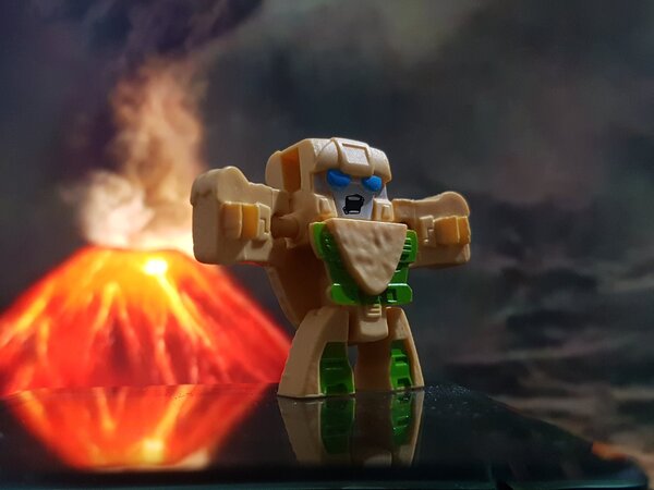 AMW 4 Brock Head (2).jpg