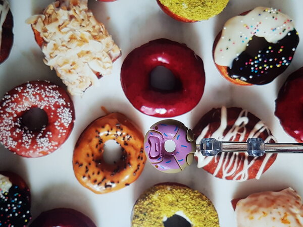 AMW 7 Sprinkleberry D'uhnut (2).jpg