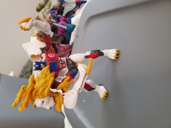 20230313_153339.jpg