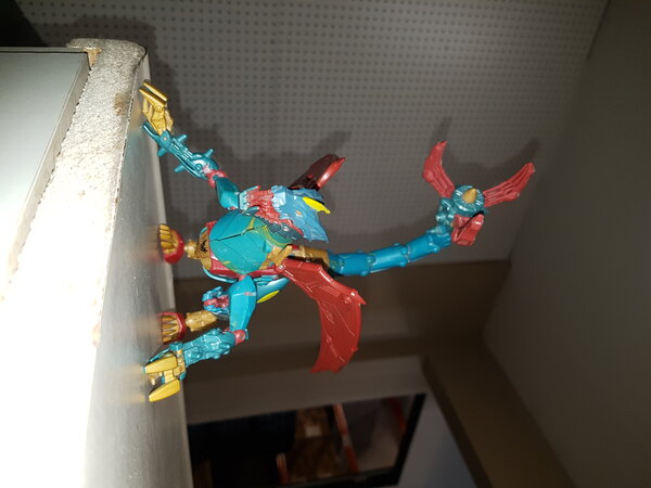 20230313_121652.jpg