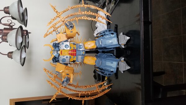 20230319_163409.jpg