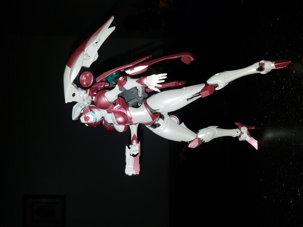 20230331_203145.jpg