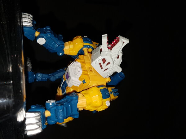 AMW Weird Wolf (2).jpg