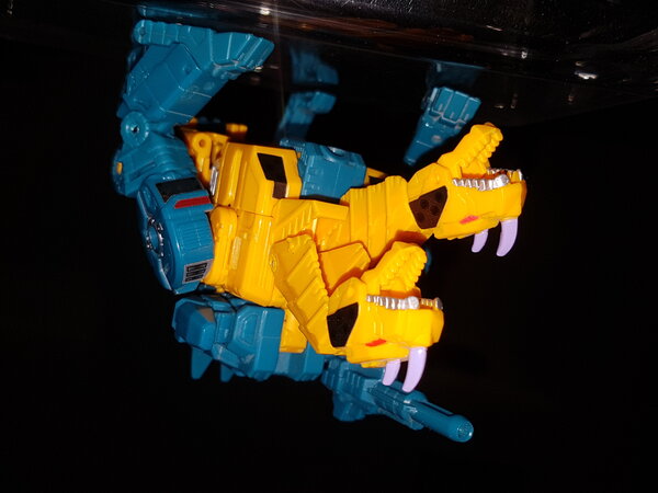 AMW5 Sinnertwin (2).jpg