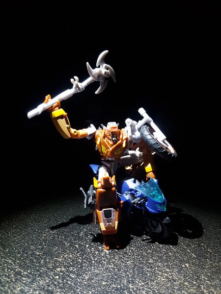 Arcee Wreckgar (10).jpg