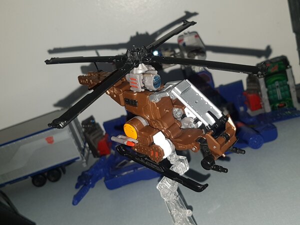 Whirl and Roadbuster (3).jpg