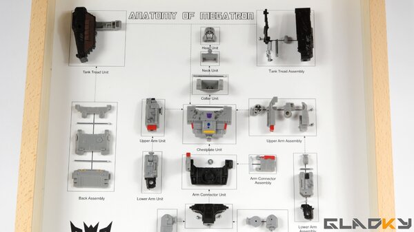 Custom Anatomy of Megatron Display Cabinet (6).jpg