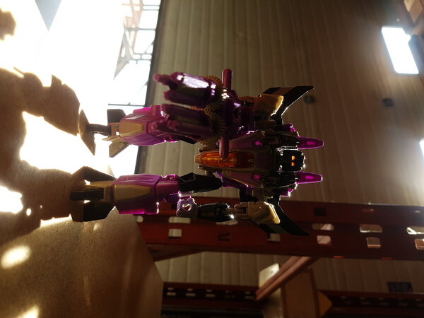 20230509_164015.jpg