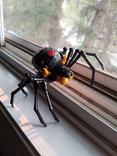 WFCK Blackarachnia (2).jpg