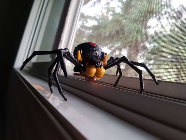 WFCK Blackarachnia (3).jpg