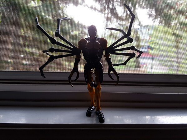 WFCK Blackarachnia (4).jpg