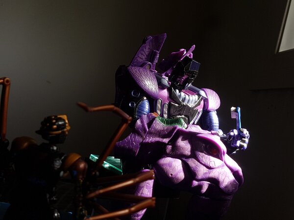 Predacon Morning (2).jpg