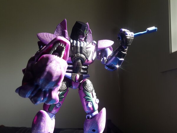Predacon Morning (3).jpg