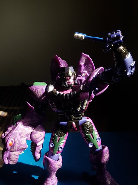 Predacon Morning (4).jpg