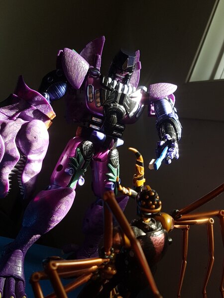 Predacon Morning (5).jpg