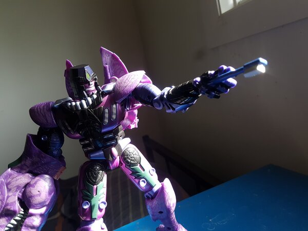 Predacon Morning (6).jpg