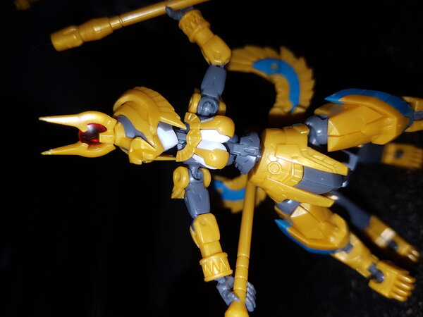 20230531_165323.jpg