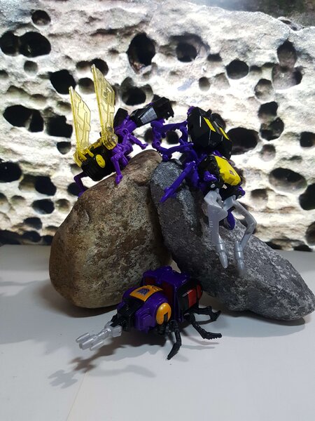 Insecticons (1).jpg