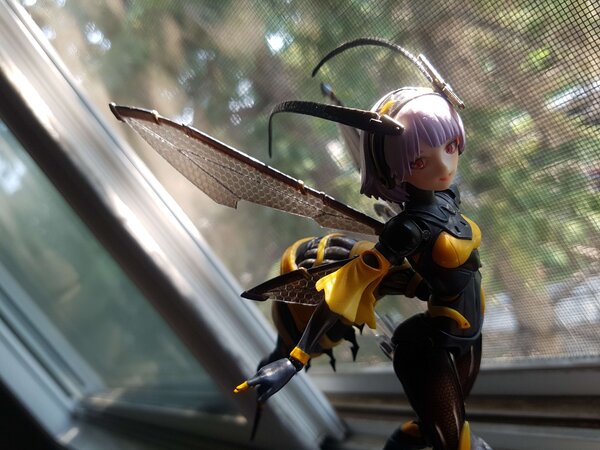 Snail Shell BEE-03W Wasp Girl (8).jpg