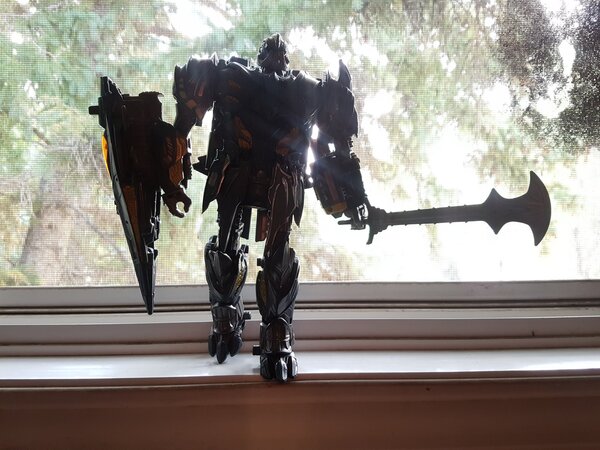 Megatron TTLK (1).jpg