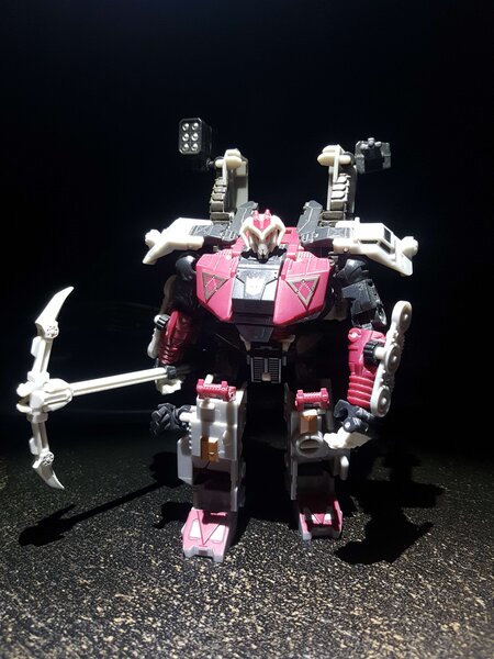 Skullgrin Fire (3).jpg